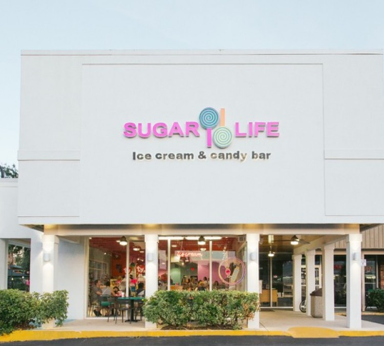 sugar-life-ice-cream-and-candy-bar-photo